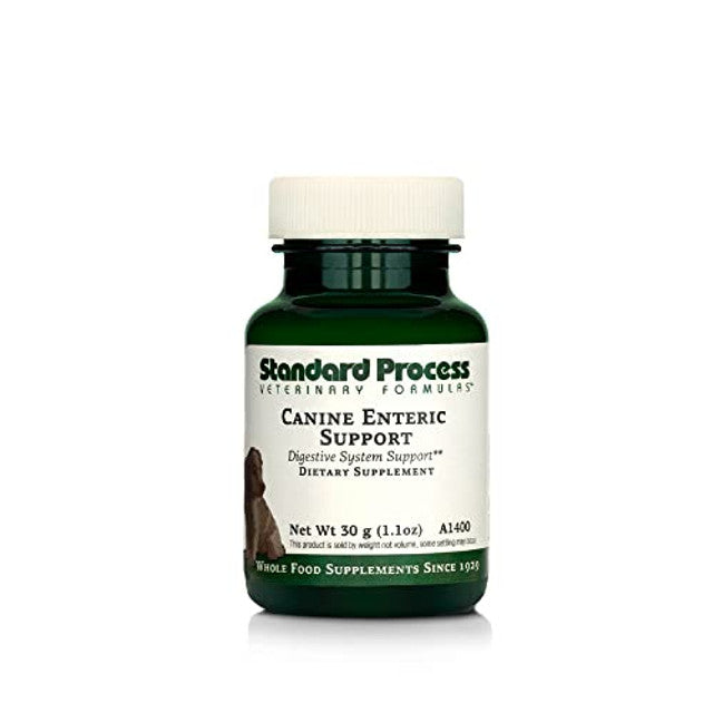 Standard Process Canine Enteric Support – Digestive Wellness Formula (30 g)