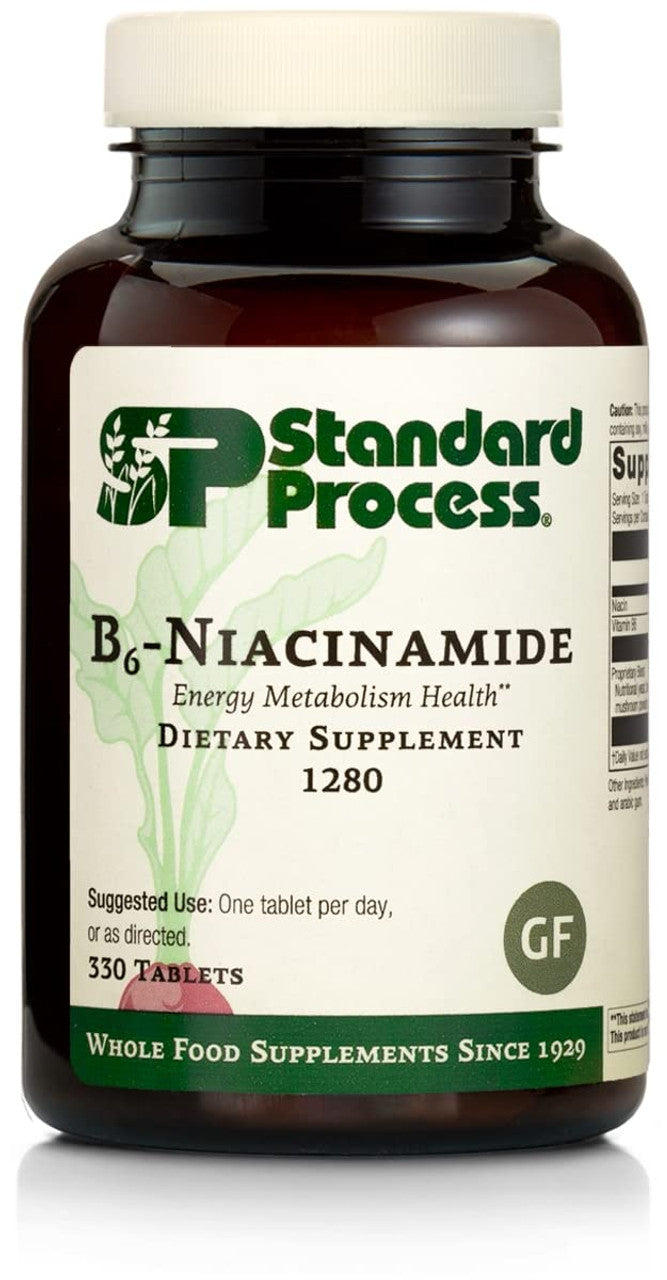 Standard Process B6-Niacinamide Wellness Support – 330 Tablets