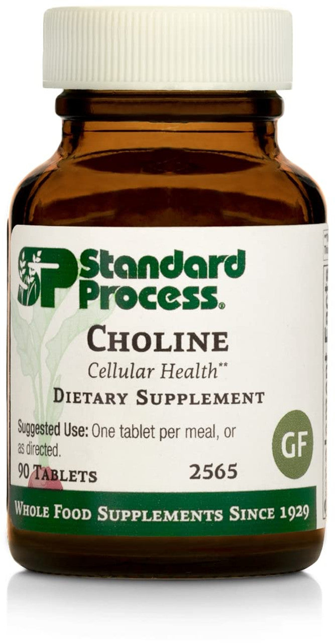 Standard Process Choline – Wellness & Metabolic Support (90 Tablets)
