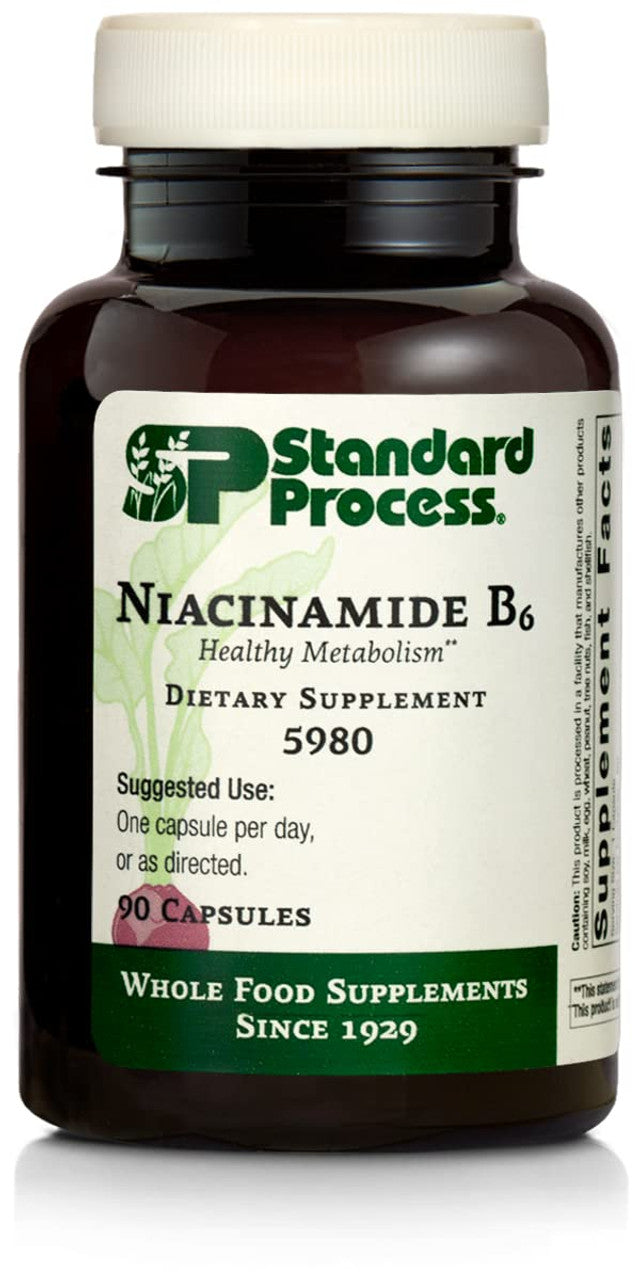 Standard Process Niacinamide B6 – Daily Metabolism & Wellness Support (90 Capsules)